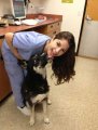 Click to view big image funny-girl-kissing-dog.jpg